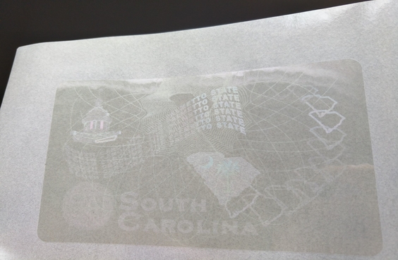 New South Carolina